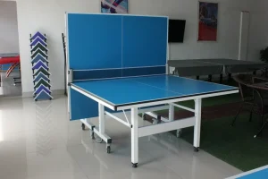 Foldable Indoor Table Tennis Table High Density Fiberboard Top Anti Slip Casters Mobile Ping Pong Table for Training Club