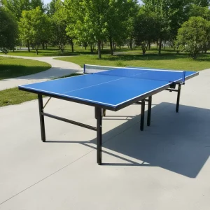 Foldable Table Tennis Table 50mm SMC Top Metal Frame Durable Eco Friendly Table Tennis Set for Outdoor Use