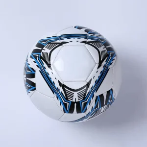 Free Shipping Fast Delivery OEM Soccer Ball Wear Resistent PVC Machine Stitched Training Size 5 4 3 2 1 Multi Color Custom Logo
