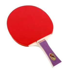 High Performance Professional Table Tennis Training Sports Racket Wood Material with Long Pimples Rubber