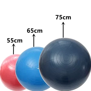 High Quality 65cm PVC Yoga Ball for 160 cm Women Use