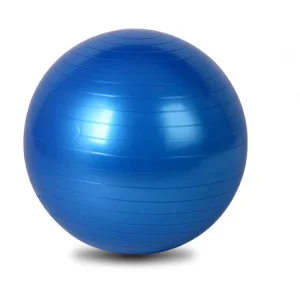 High Quality Economy Casual Indoor Exercise Equipment Yoga Gym Ball