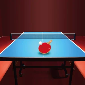 High Quality Official Standard Indoor Tt Table Tennis Table Set