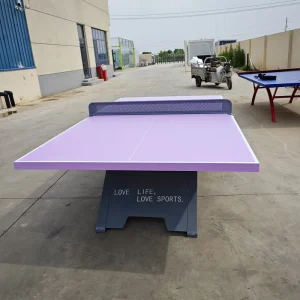 High Quality Premier Sport Table Tennis Table Set Iron Legs Waterproof Wooden Case Packaging Model XD-PPQZ