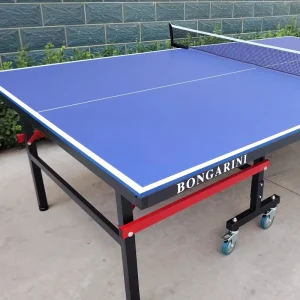 ITF Certified Indoor Table Tennis Table Aluminum Removable Folding Ping Pong Table for Players
