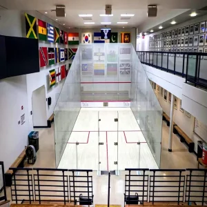 Indoor Squash Court Anti slip Flooring Wooden Floor Portable PVC Sports Floor