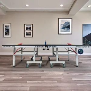 Indoor Table Tennis Equipment Table Tennis Board for Children