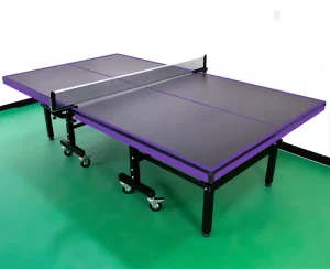 Indoor Training 25mm Table Tennis Table Professional Pingpong Table