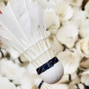 Indoor and Outdoor Professional Badminton Training Resistant to Play Badminton