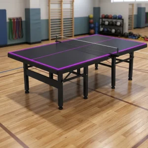Indoor and Outdoor Sport Modern Table Tennis Set Foldable Portable with Wheels Eco Friendly Durable Steel
