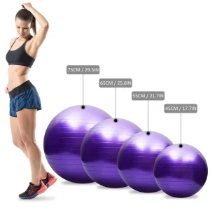 Inflatable Durable Premium Gym Ball Stability Ball for Pilates Exercise PVC Yoga Exercise Ball 65cm