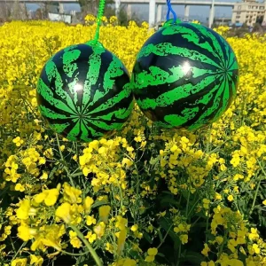 Inflate Fun Bounce Ball Stress Balls With String