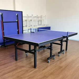 International Standard Indoor Foldable Removable Waterproof Platform Table Tennis Table