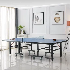 Medium Size Table Tennis Ping Pong Table Foldable Removable Table With Wheels for Unsex