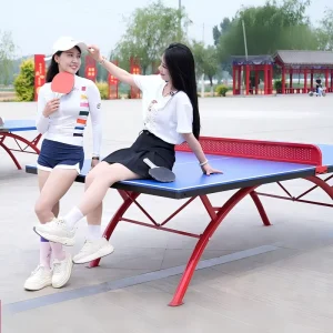 Modern Foldable Outdoor Table Tennis Table Sun Rain Proof Durable Eco Friendly School Sports Equipment