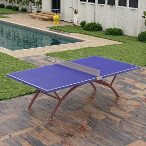 Modern Outdoor SMC Table Tennis Set with Durable Eco Friendly Anti Weathering Design Warranty Moveable Frame Sport