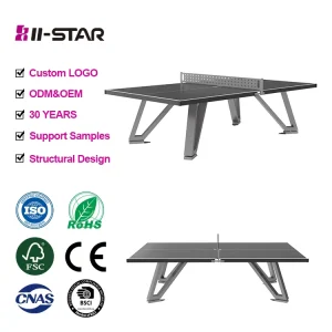 Modern Outdoor Table Tennis Table Ping Pong Table