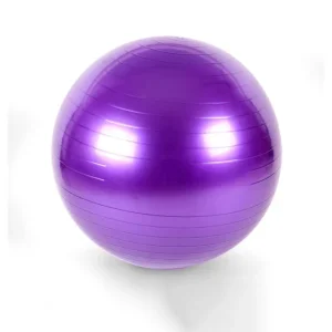Multi Size Customized Yoga Balls Exercise Pilates Ball PVC Material Eco friendly Gym Yoga Ball 65CM