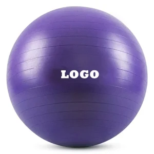 Non slip PVC Anti burst Stability Gymnastic Exercise Yoga Balance Ball With Pump