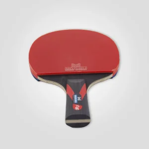 OEM Custom Professional 6 Stars Carbon Paddle Table Tennis Bat Table Tennis Racket