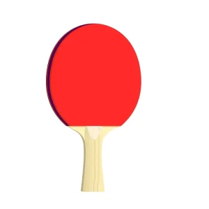 OEM ODM Promotion Custom Table Tennis Racket Pure Wood Rubber Ping Pong Paddle For Indoor Gym Match Training