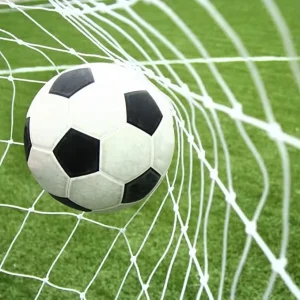 PE Football Goal Net 7.32×2.44m Standard Professional Soccer Net for Match