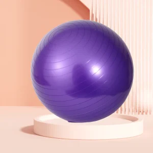 PVC High Quality Yoga Ball 45cm 55cm 65cm 75cm 85cm Eco Friendly Gym Ball Fitness Ball