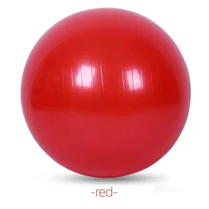PVC Yoga Pilates Stabilizing Balls Eco-friendly Gym Fitness Balls Personalized Logos (55-85cm) Model YJQ-0002 Unisex
