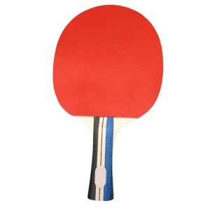 Perfect Performance Ping Pong Paddle