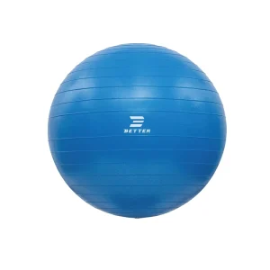 Perfect Quality Non slip Pvc Customized Anti burst Stability Gymnastic Exercise Yoga Balance Ball