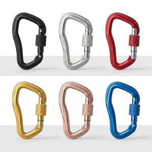 Personalized Custom Logo Screw Lock Carabiner D Shape Buckle for Key Storage Backpack Hanging Daily Accessories