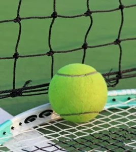 Pickleball Net Tennis Court Fence Professional Competition-level Outdoor Portable Tennis Net Door Practice Training Net