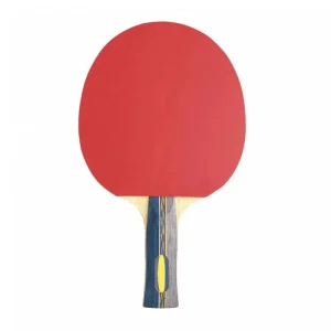 Pingpong Bat Table Tennis Racket Professional Custom Plywood and Rubber Carton Box Fast Speed Pure Wood Advance