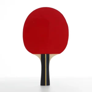 Pingpong Supplier Professional Table Tennis Racket Set