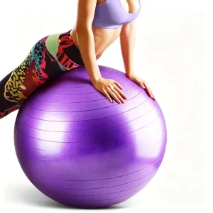 Portable 65cm Petrol Yoga Fitness Ball All Seasons Anti-Slip Gym Pilates Balance Training