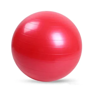 Premium Anti burst Colorful Yoga Balance Ball Half Gym Back Yoga Ball Pilates Exercise Yoga Ball