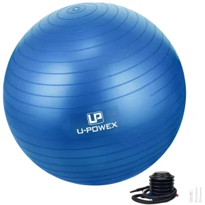 Printing Custom Logo Manufacturer 65cm Gym Yoga Ball Exercise Ball with Pump