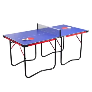 Produced Table Tennis Table Foldable Ping Pong Table China Blue Set Customized Steel Carry Bag TT-1895