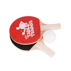 Professional Custom Lightweight Training Portable Table Tennis Racket Set for Kids with Net and Balls