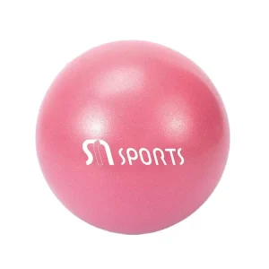 Professional Eco Friendly Soft Non Slip Lightweight PVC Yoga Ball Custom Logo Multi Color 20 25cm Yoga