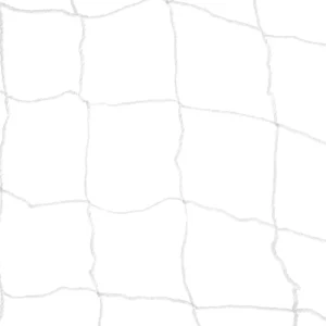 Professional Grade AllSeason FadeResistant UVStabilized HighStrength Football Net for Court Equipment