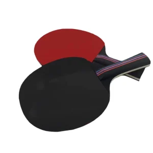 Professional Horizontal High Elasticity Table Tennis Racket Sets of 2 Pieces Table Tennis Rackets