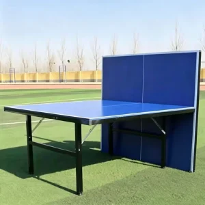 Professional Indoor SFS Ebest Foldable Table Tennis Table with Net for Competition Waterproof