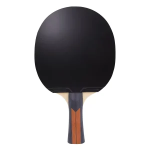 Professional Manufacturer Table Tennis Board With Custom Label Available for Sale