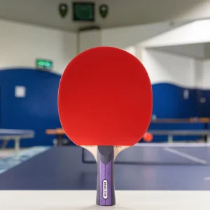 Professional Middle Level Table Tennis Racket All Round Control Wood and Rubber Material ITTF Certified for Sports
