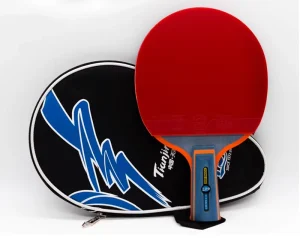 Professional Pure Wood two sides pimples in 729 Friendship Young 2020S Table Tennis Racket Table Pingpong Bat