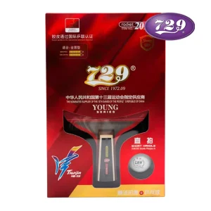 Professional Pure Wood with double face table 729 Friendship Young 2010S pingpong bat table tennis racket