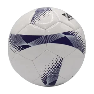 Professional Size 5 PVC Soccer Ball Classic Training Football for School