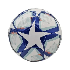 Professional Soccer Ball Football Thickened PVC Size 5 OEM Logo Customized for Match Training Balon De Football