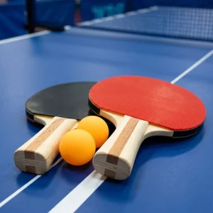 Professional Table Tennis Paddles Pure Wood with Long Pimples Rubber Basswood Material Eco Friendly and Durable